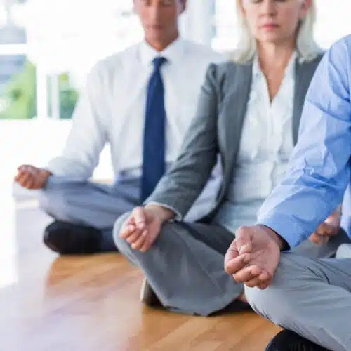 Corporate Retreats & Vedic Meditation